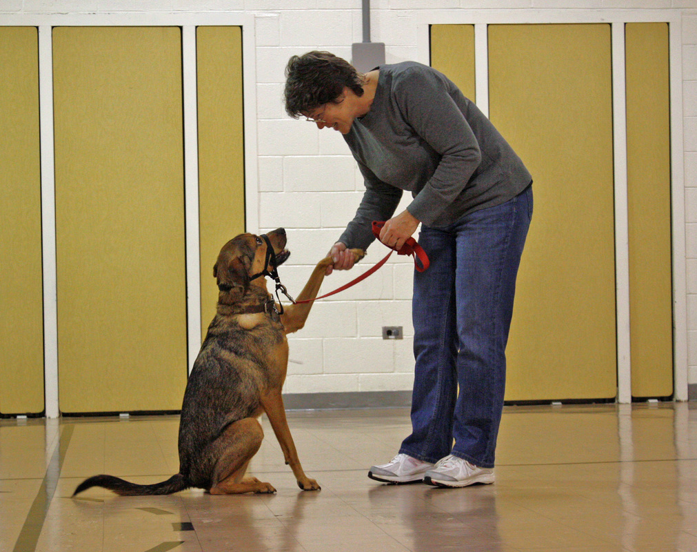 Classes Woofs of Wisdom Dog Training